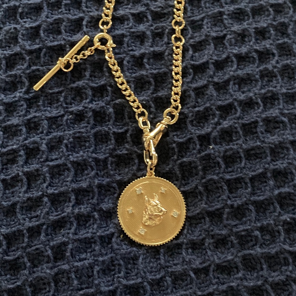 Anthropologie Golden Dog Coin Crystal Necklace